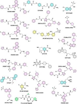 Integrating virtual screening, pharmacoinformatics profiling, and molecular dynamics: identification of promising inhibitors targeting 3CLpro of SARS-CoV-2